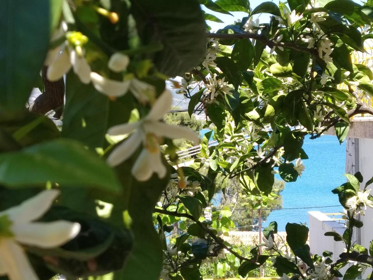 Apartment Nely - Sea, Terrace And Peace Trogir Exterior foto